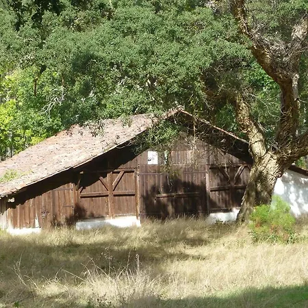 Appartement à Côté Marin De Port D'albret *